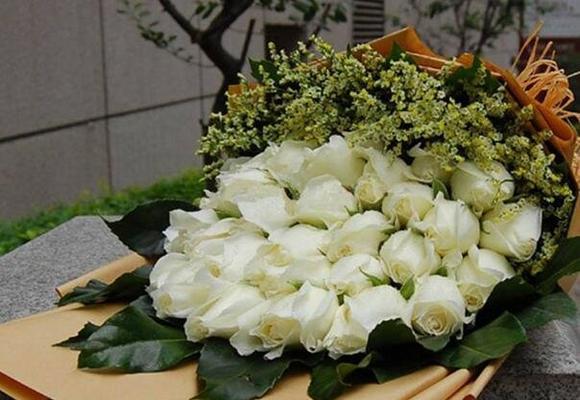 白玫瑰（探寻白玫瑰的含义与传说）