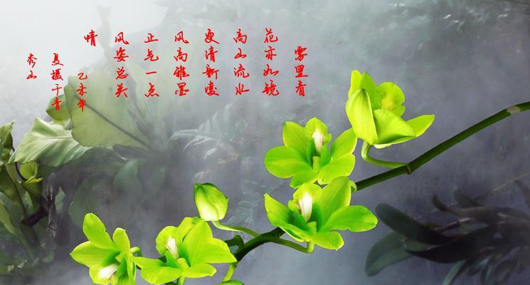 以梅兰竹菊的象征意义（四君子之美与人生哲理）_花植网