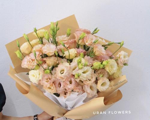 香槟洋桔梗花语解析（探寻香槟洋桔梗的隐含意义）