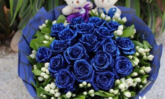 探秘蓝色妖姬的意义与象征（从色彩到灵感）