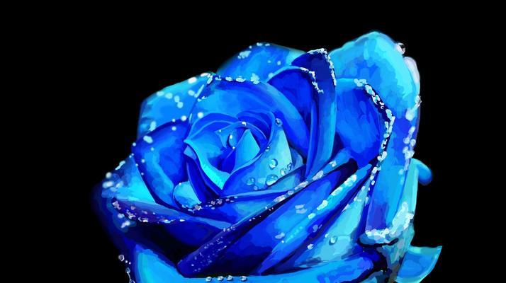 蓝色妖姬花语（解读52朵蓝色妖姬花所代表的心情与寓意）