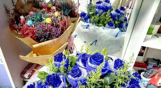 蓝色满天星的象征意义及影响力(探索蓝色满天星的神秘之美与启示)