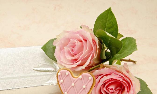 粉色玫瑰的含义与传情（表达浪漫与喜悦的象征）