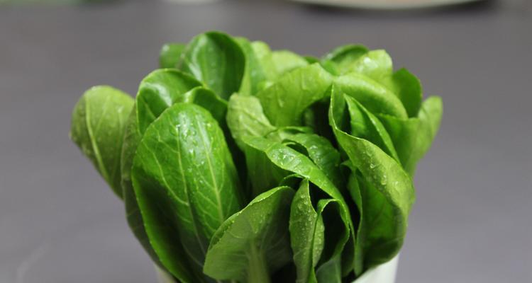 油菜属于油料作物吗?油菜的用途和特点是什么?