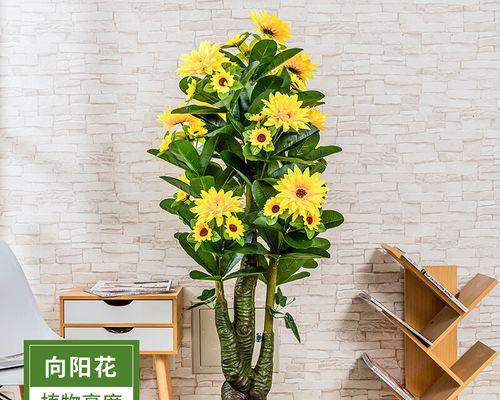 杏和什么不能一起吃？了解杏子搭配禁忌！