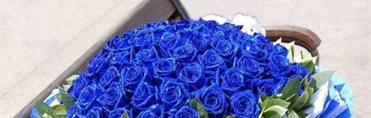 蓝色妖姬(揭示她的魅力与哀愁)