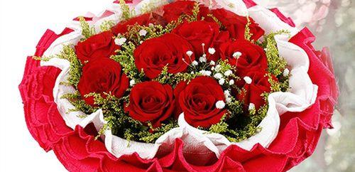 红玫瑰的象征意义与传统（探寻红玫瑰为什么被赋予如此深刻的情感意义）