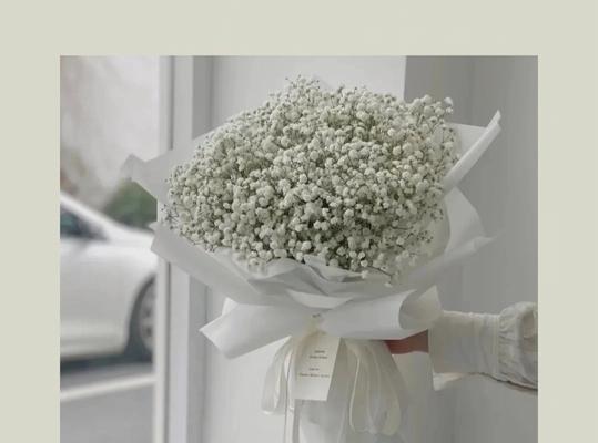 白色满天星的花语——纯洁与祝福（花开满园）