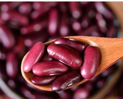 红腰豆怎么种？最佳种植时间和步骤是什么？