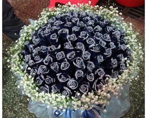 九十九朵玫瑰的象征意义（深情厚意的告白之花——九十九朵玫瑰）