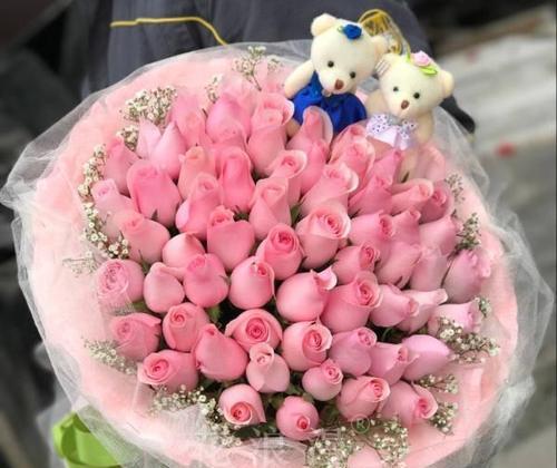 红玫瑰与粉玫瑰花语（红玫瑰与粉玫瑰的传达情感的差异与共通之处）