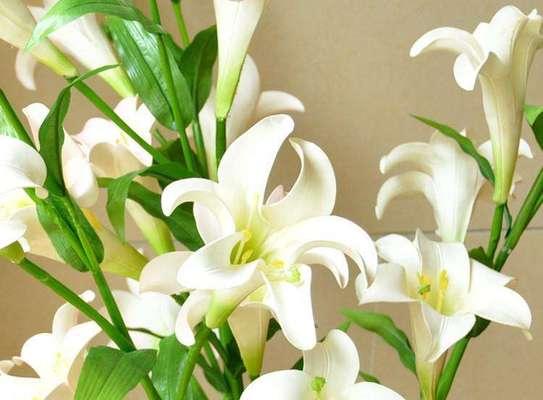 百合花的花语揭示爱情的真谛（百合花花语的深层寓意及象征爱情的不同面向）