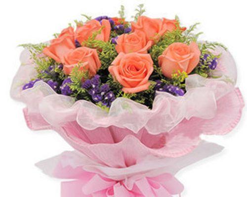 粉色玫瑰花语（传递爱意的花朵）