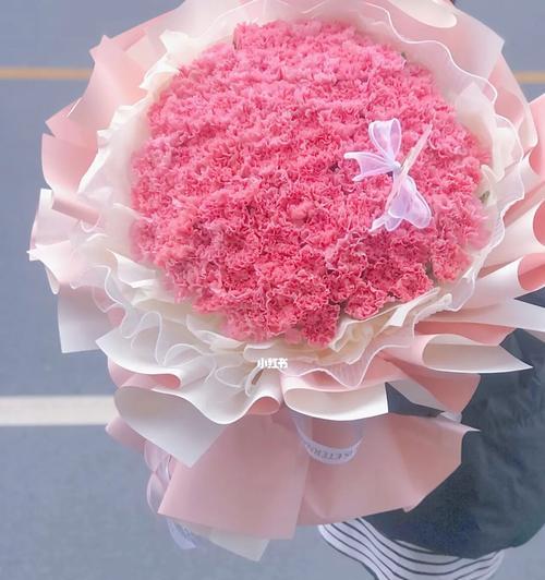 粉色康乃馨的代表寓意——爱与关怀（粉色康乃馨）