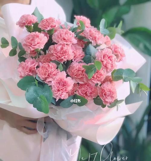 粉色康乃馨的代表寓意——爱与关怀（粉色康乃馨）