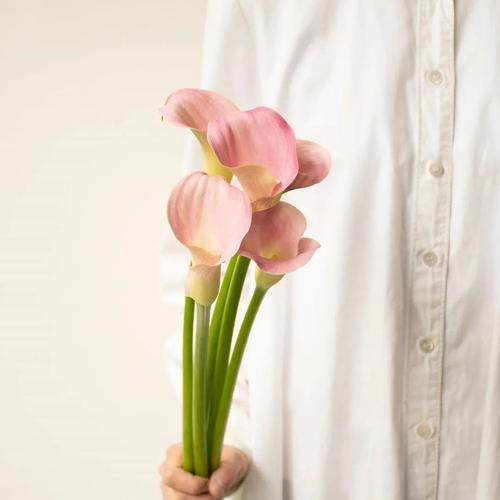 马蹄莲（马蹄莲的寓意及其重要性）