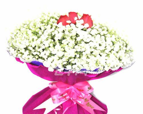 满天星花语致青春，点亮心中的希望（用满天星花语诠释青春）