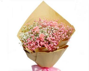 满天星花语致青春，点亮心中的希望（用满天星花语诠释青春）