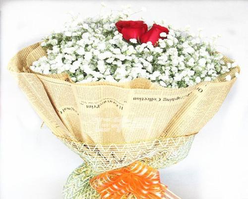 满天星花语致青春，点亮心中的希望（用满天星花语诠释青春）