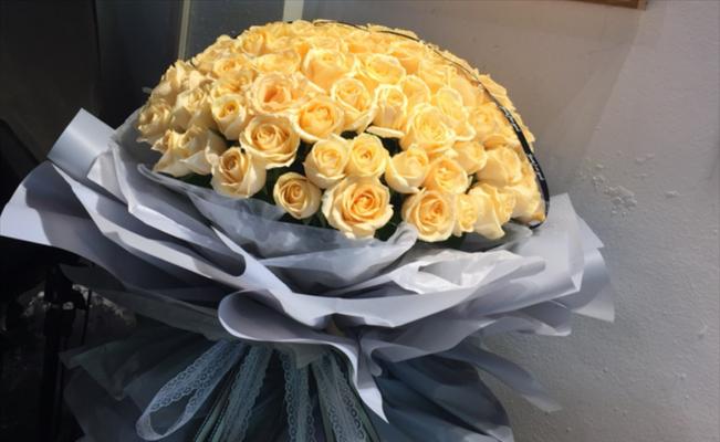 香槟玫瑰的花语及意义解读（探寻香槟玫瑰所传递的情感与寓意）