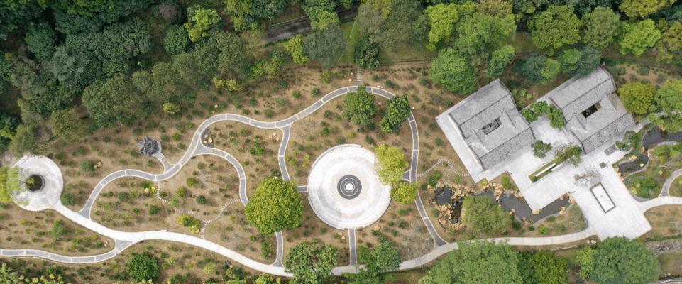 野山茶下山桩养护方法是什么？如何确保其健康生长？