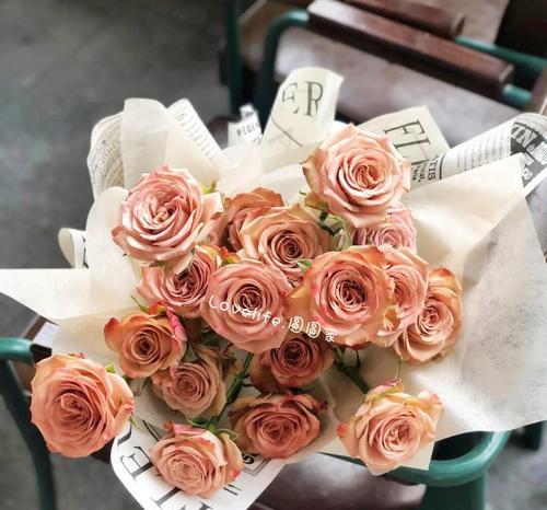 卡布奇诺玫瑰花的浪漫寓意（揭示卡布奇诺玫瑰的情感符号和花语）