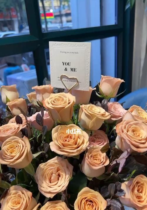 卡布奇诺玫瑰花的浪漫寓意（揭示卡布奇诺玫瑰的情感符号和花语）