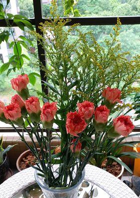 鲜花寄语生日快乐（用花言巧语传递温暖与祝福）