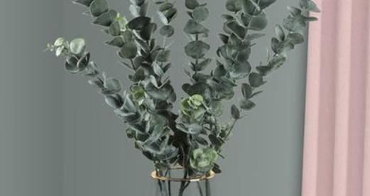 尤加利开花吗?颜色和样子是什么样的? 尤加利开花吗?颜色和样子是什么样的?