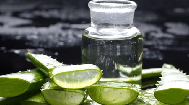 淘米水浇芦荟的正确方法是什么?可以经常使用吗?