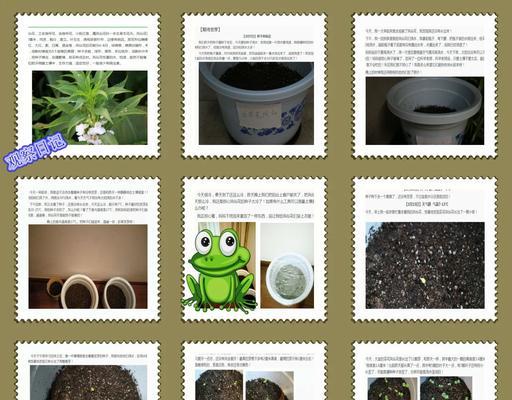 彩叶草种子发芽需要多长时间？如何加速发芽过程？