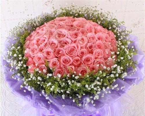 粉色玫瑰花的浪漫寓意(探索粉色玫瑰花所代表的意义与情感)