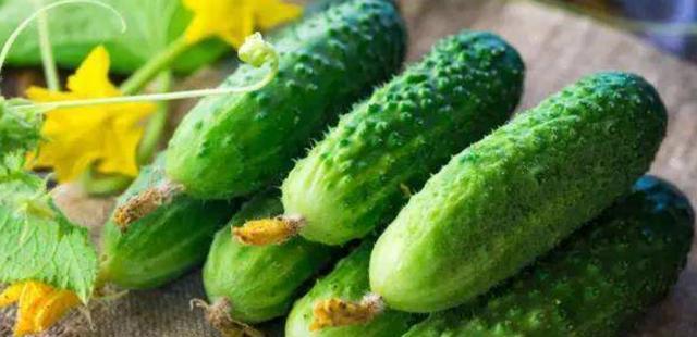 黄瓜怎么保存时间长？有效延长保鲜期的技巧是什么？