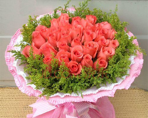 十一朵粉玫瑰的象征意义及传承（绽放爱与美的十一朵粉玫瑰）