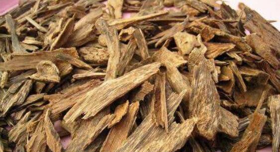 沉香的药用价值是什么？如何正确使用沉香进行治疗？