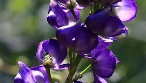 禁忌之恋（纠缠与悲伤）