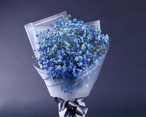 蓝色满天星花语(蓝色满天星的花语及其意义) 蓝色满天星花语(蓝色满天星的花语及其意义)