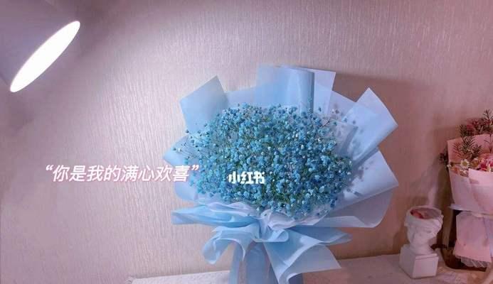 蓝色满天星花语(蓝色满天星的花语及其意义) 蓝色满天星花语(蓝色满天星的花语及其意义)