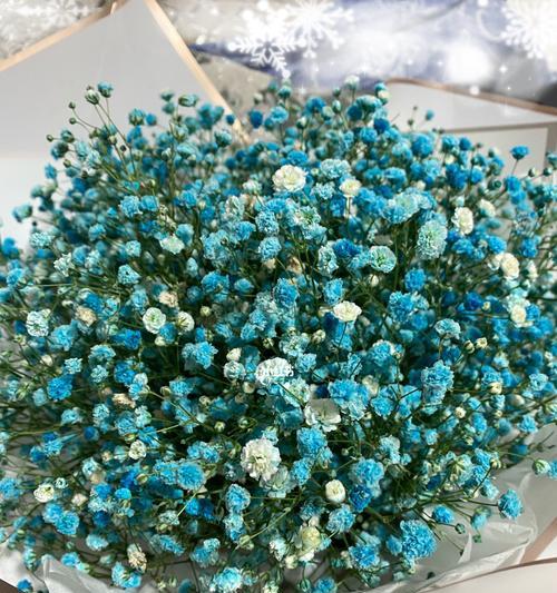 满天星花语及寓意（满天星花语和寓意的解读）