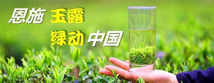 玉露花（玉露花语的美丽蕴含与传承）