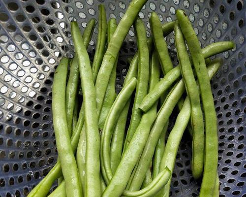 四季豆去筋技巧是什么?如何快速去除四季豆的筋? 四季豆去筋技巧是什么?如何快速去除四季豆的筋?