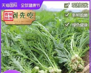 雪里蕻还有哪些别名?雪里蕻的其他称呼是什么? 雪里蕻还有哪些别名?雪里蕻的其他称呼是什么?