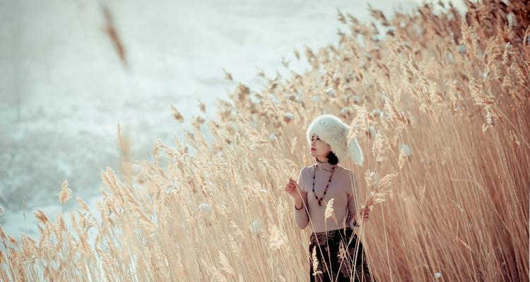 芦苇的花语——守望与希望（展现坚韧与自由的自然之美）