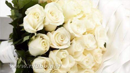 42朵玫瑰花花语的浪漫寓意（用花语述说爱的深情）