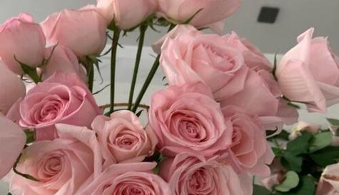 42朵玫瑰花花语的浪漫寓意（用花语述说爱的深情）