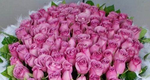 紫玫瑰花语之美丽的神秘（紫玫瑰花语的深刻内涵与情感表达）