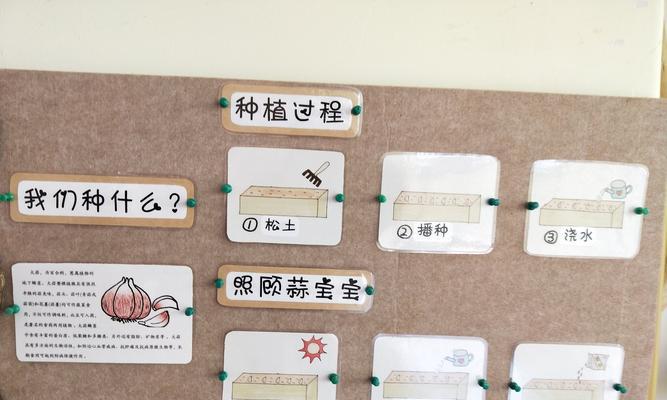 阳台种植生姜的最佳时间是什么时候？有哪些简单步骤？