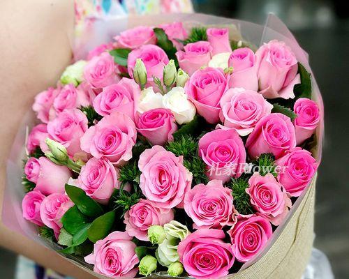 苏醒玫瑰（唤醒心灵）