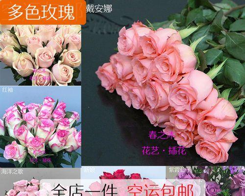 苏醒玫瑰（唤醒心灵）