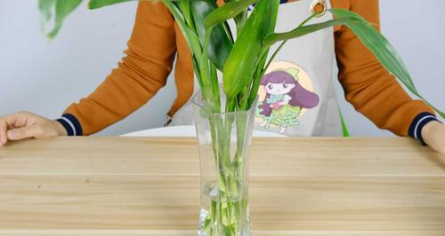 富贵竹的花语（探寻富贵竹背后的花语密码）